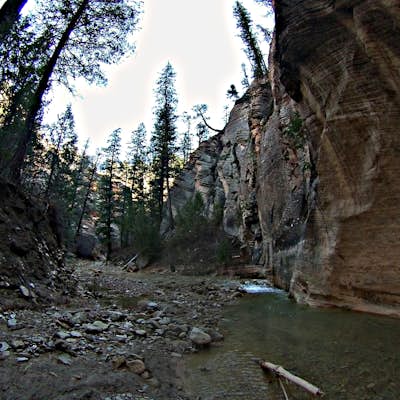 Backpacking the Narrows Top to Bottom