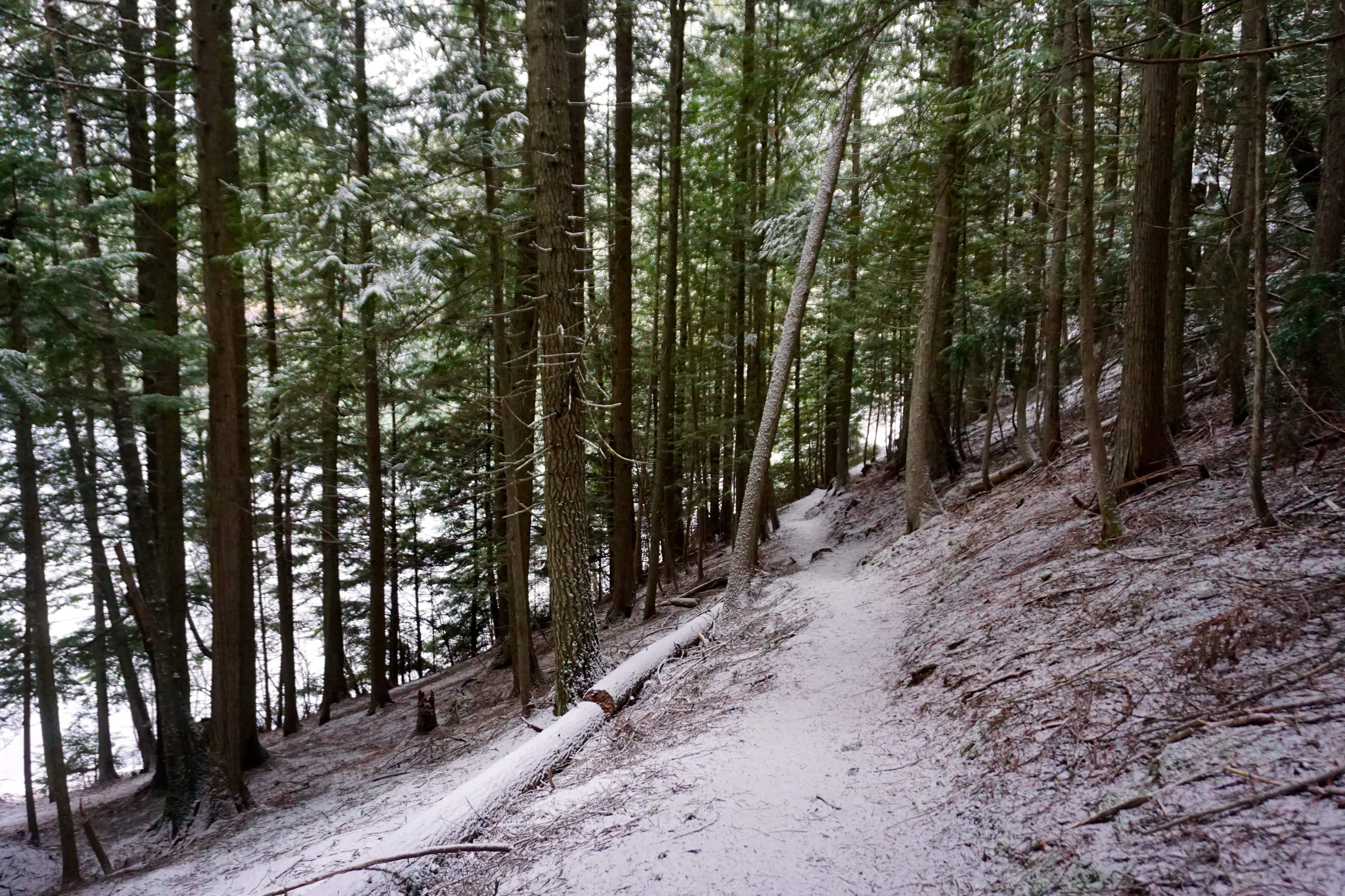 Hike or Kayak to Bead Lake Campsites