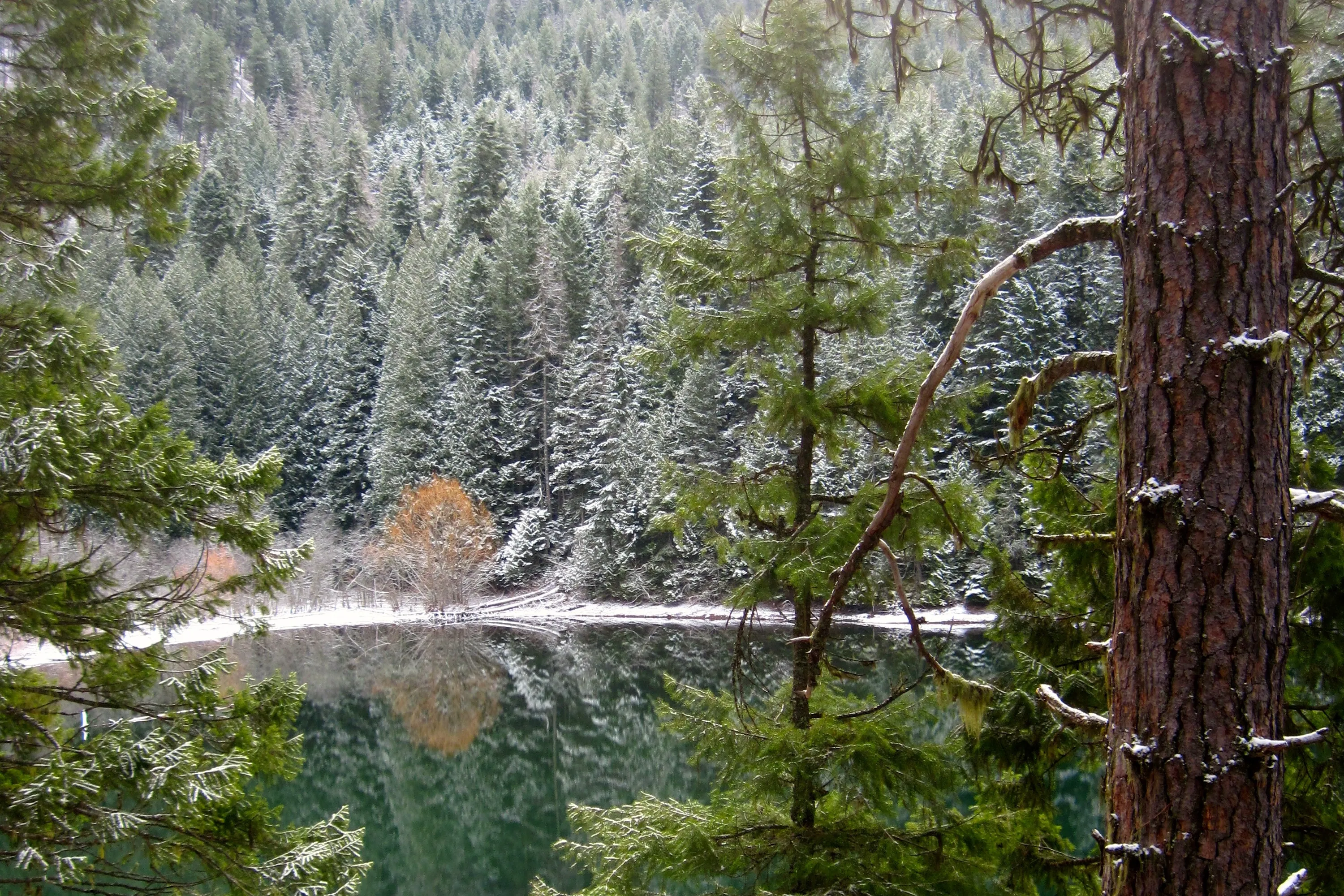 Hike or Kayak to Bead Lake Campsites