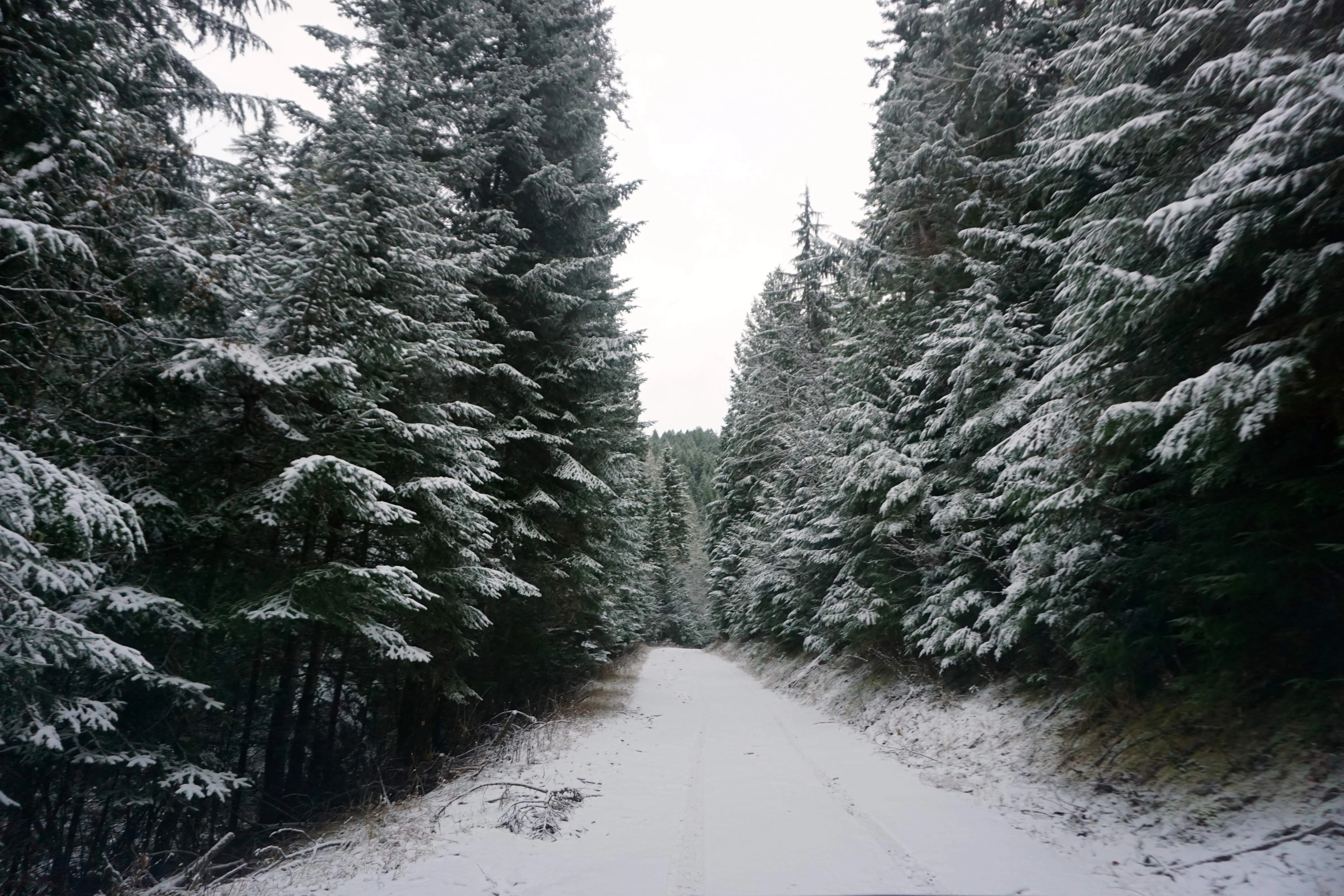 Hike or Kayak to Bead Lake Campsites