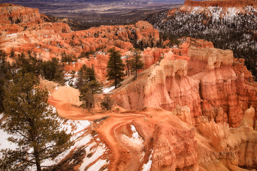Bryce Canyon's Rim Trail 