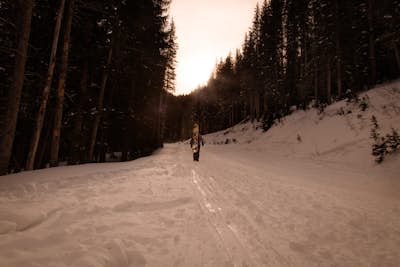 Snowboard or Ski Guardsman Pass