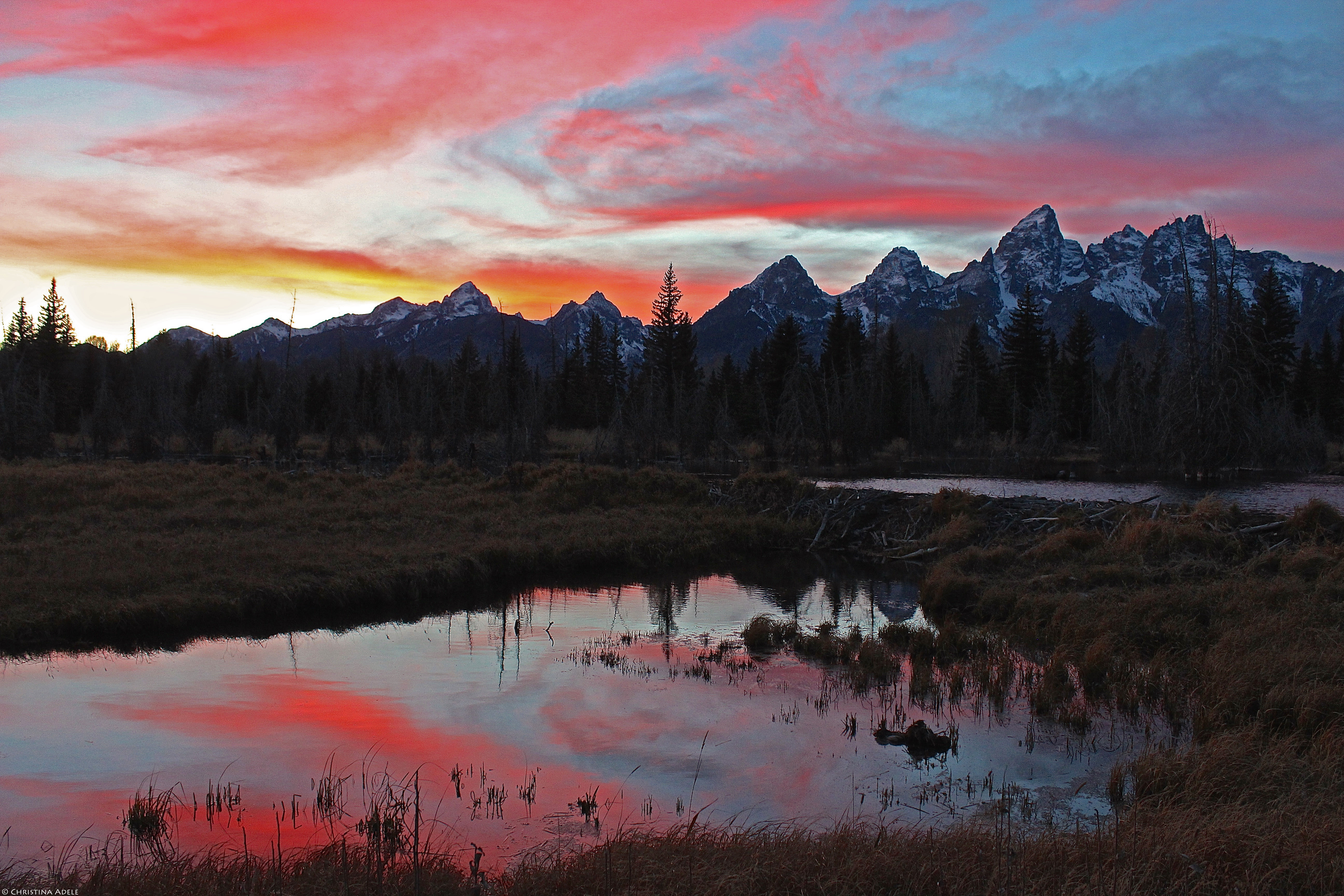 Schwabacher Landing
