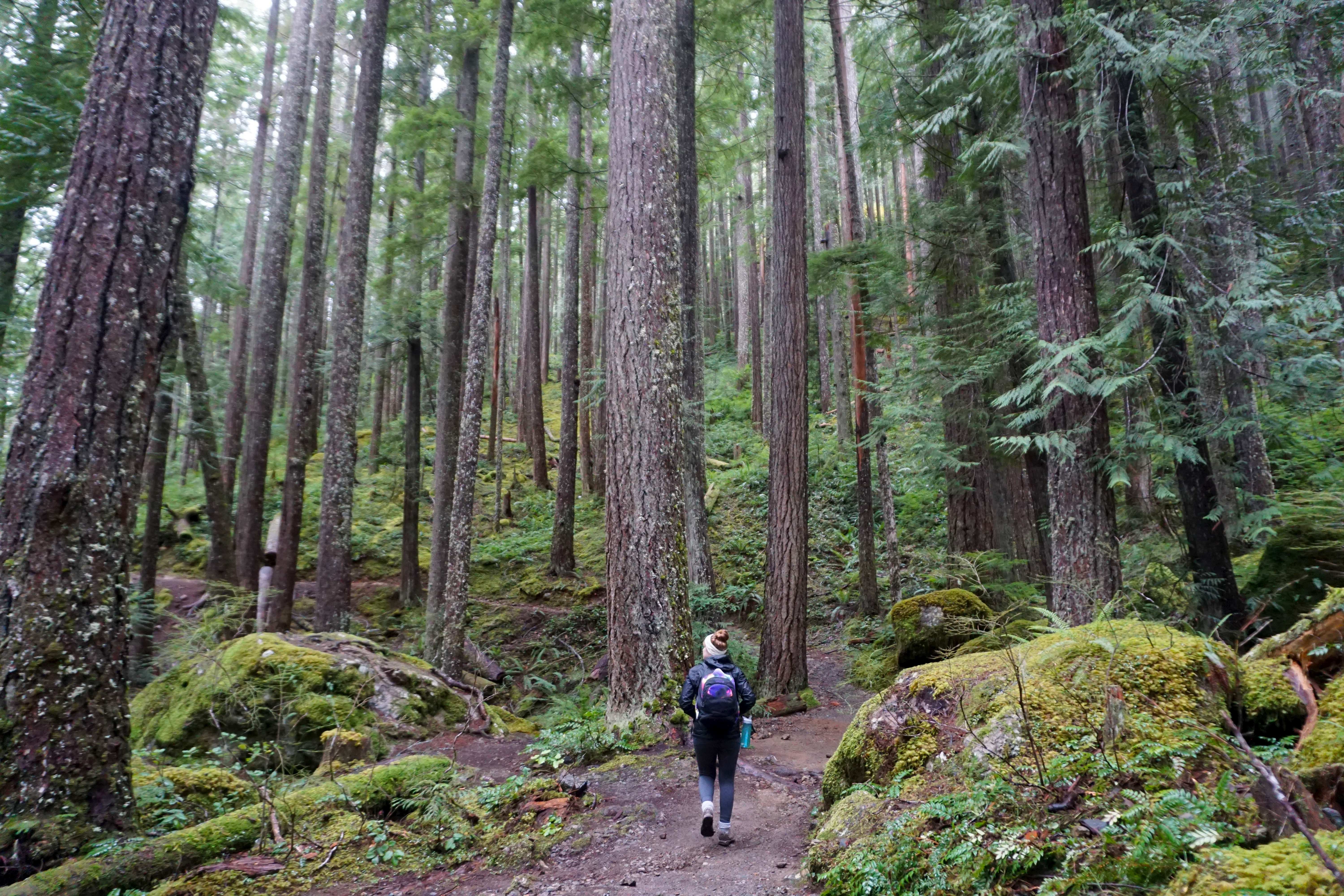 Lena Lake
