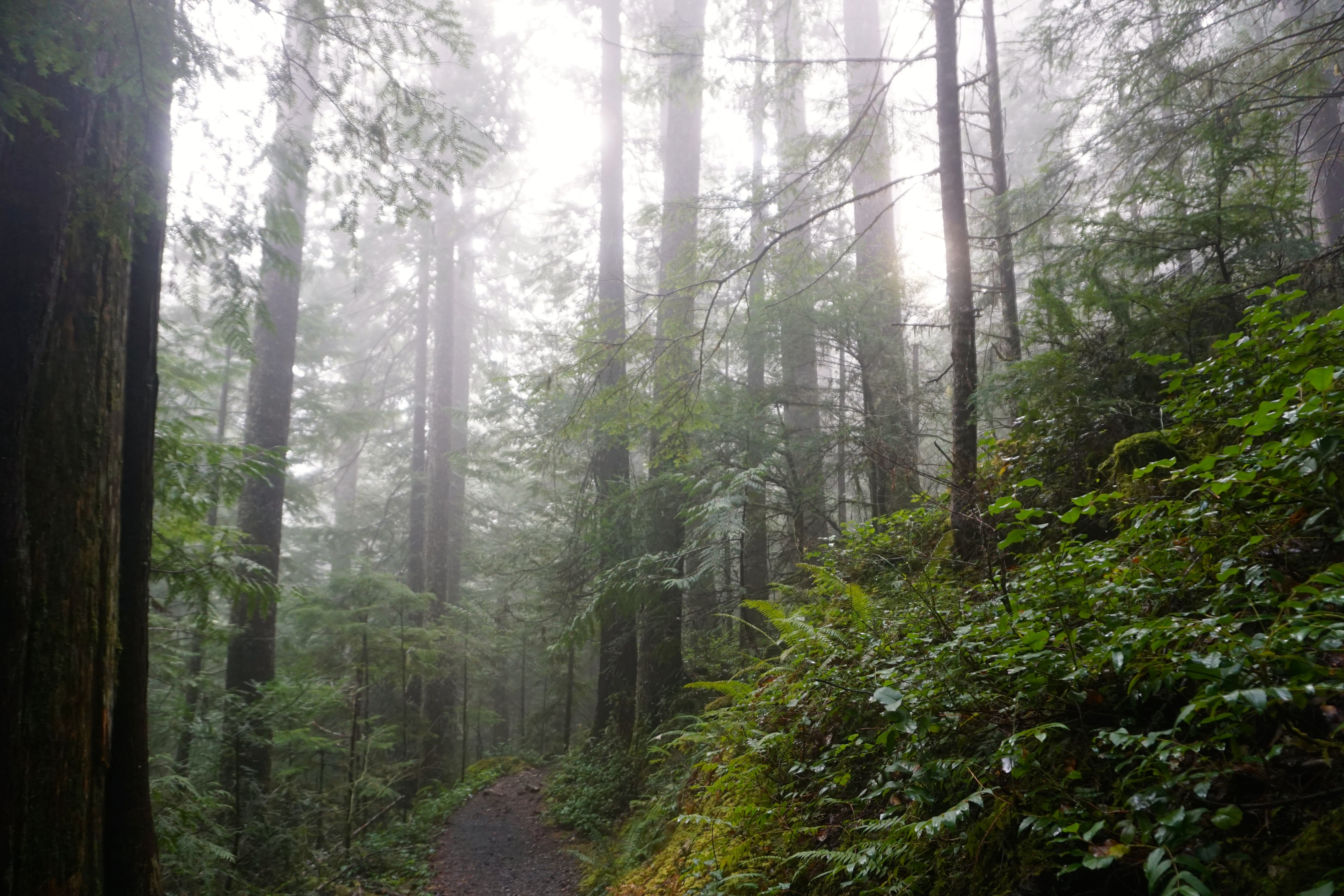 Lena Lake