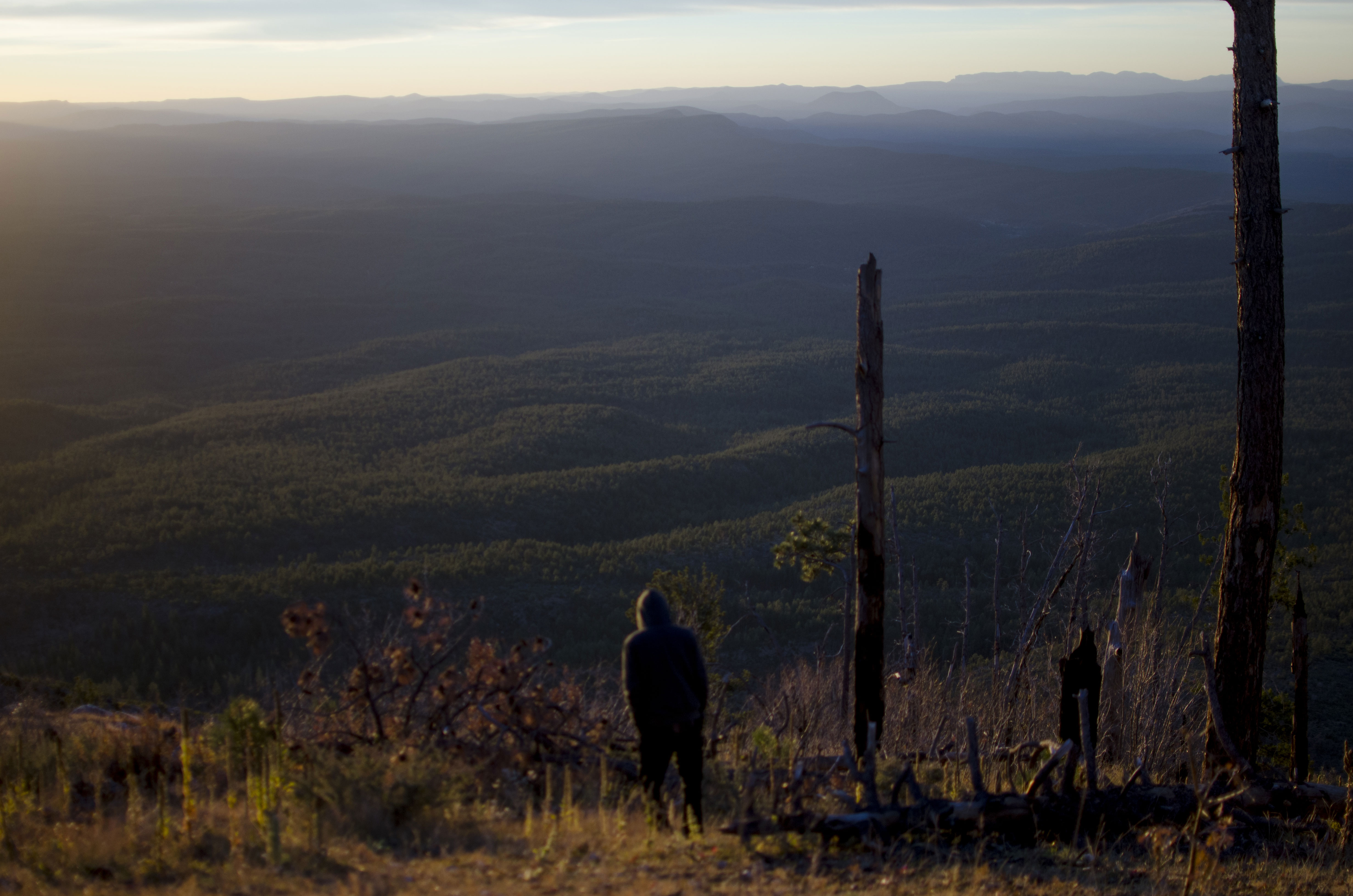 Car Camp the Mogollon Rim