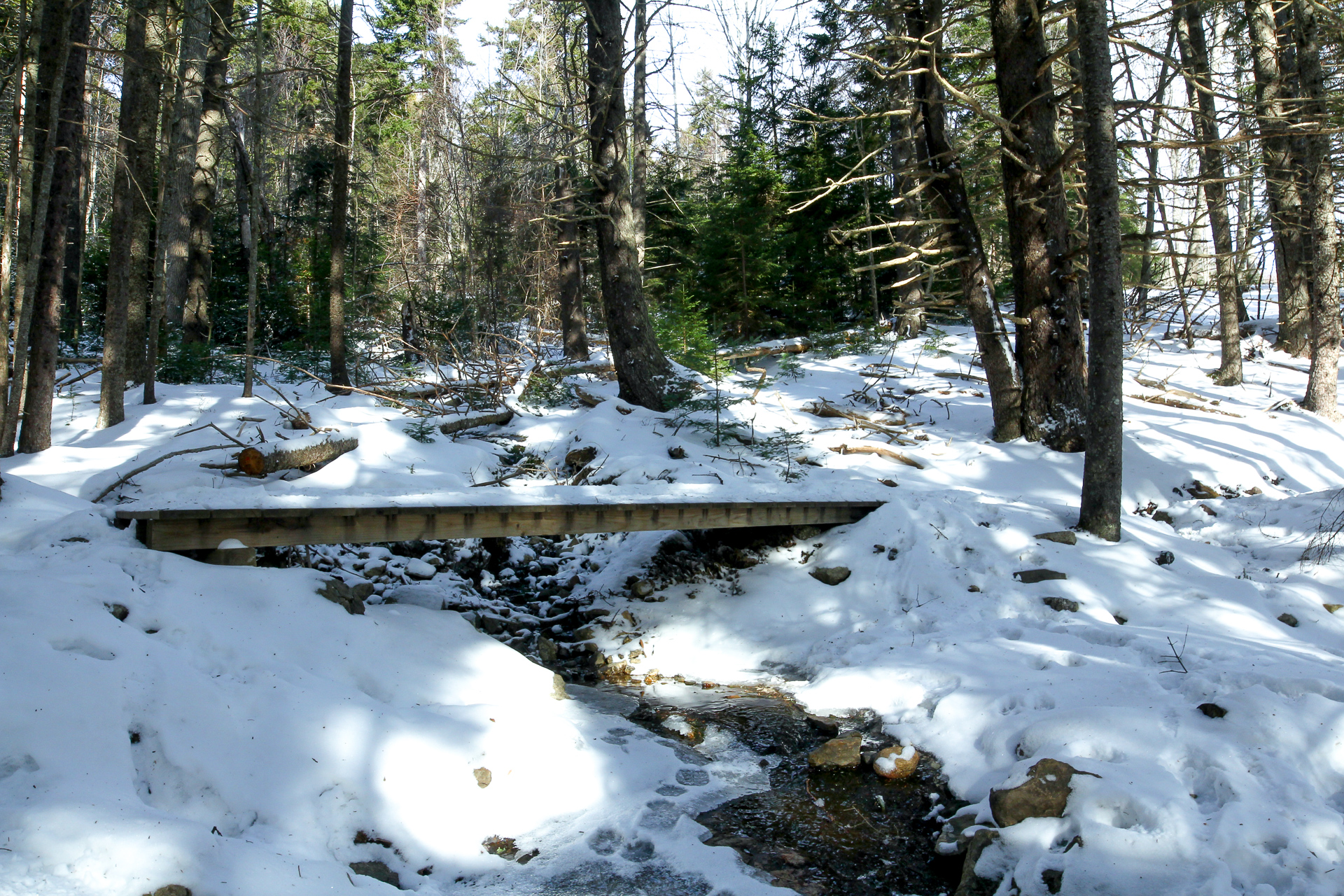 Hike Blue Hill Mountain