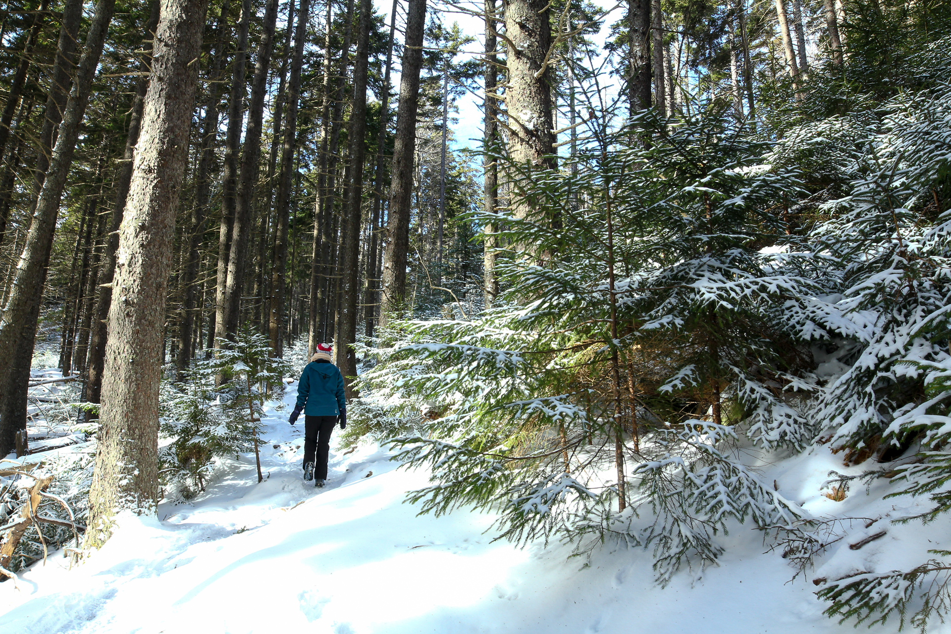 Hike Blue Hill Mountain