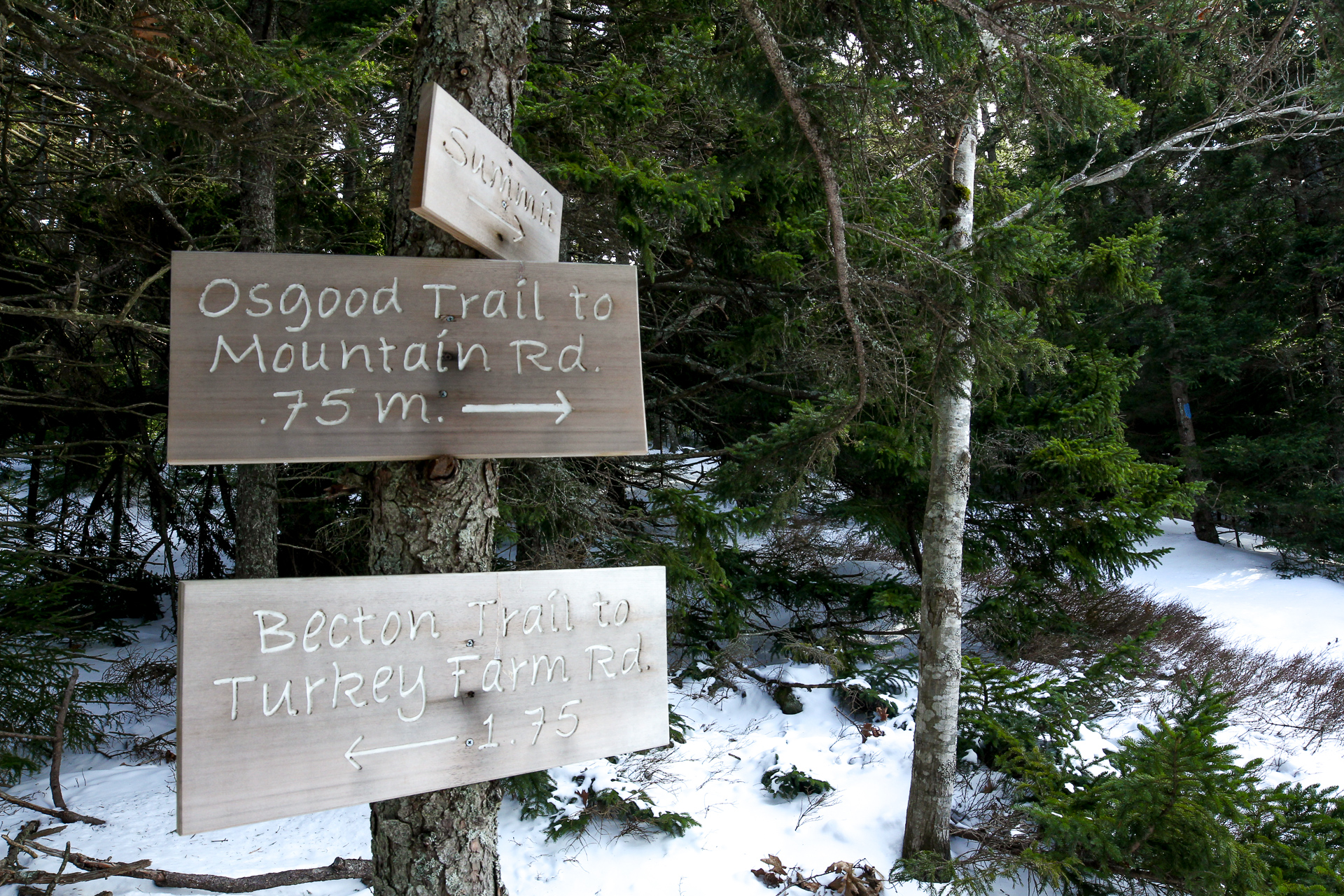 The best Camping in and near Waldoboro, Maine