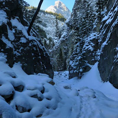 Icewalk in Grotto Canyon
