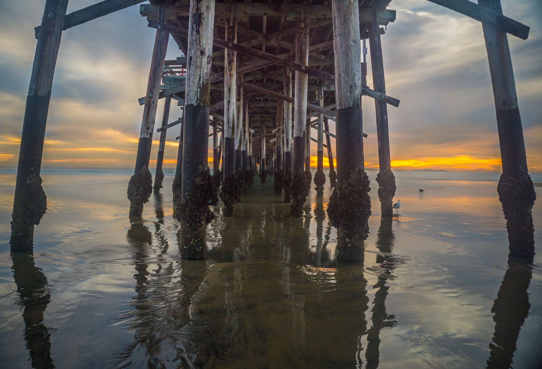 Newport Pier