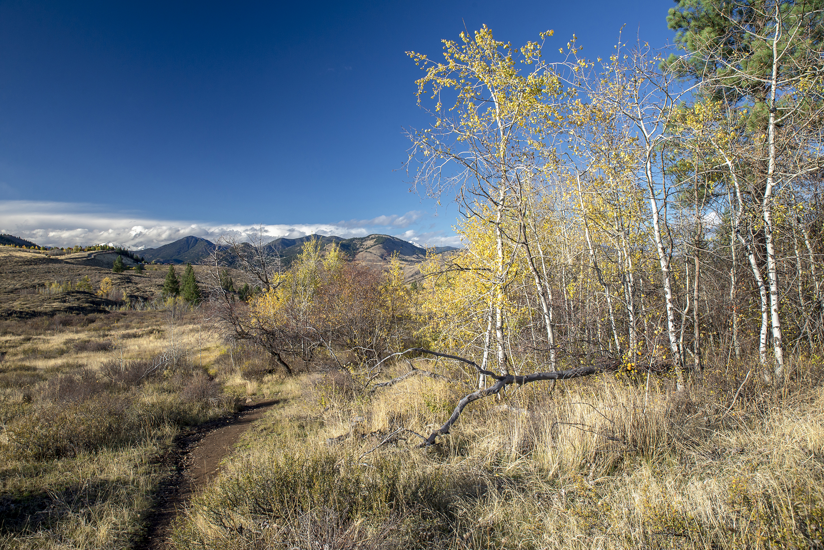 Patterson Mountain Loop