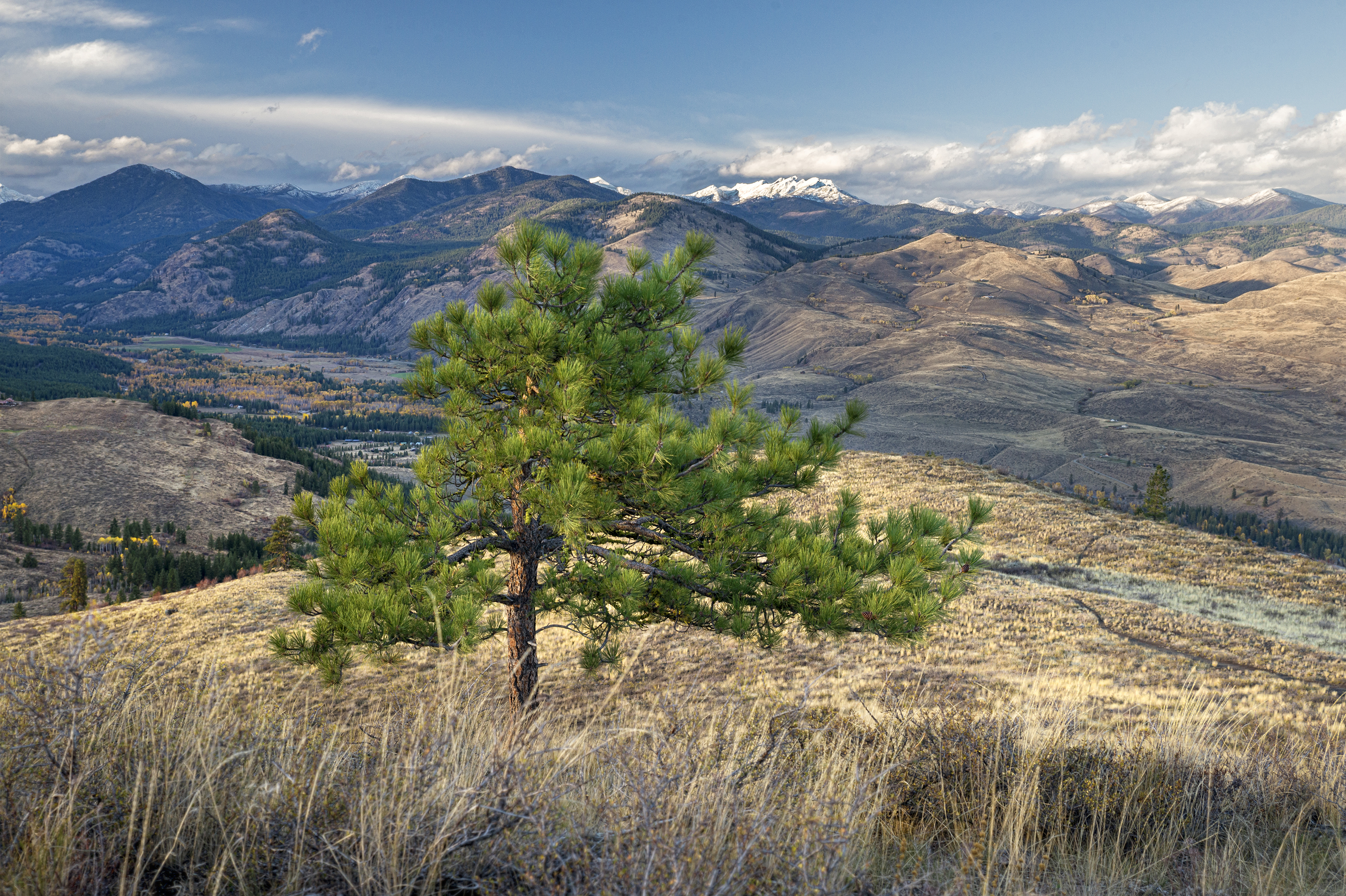Patterson Mountain Loop