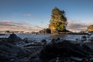 Hike the Botanical Beach and Botany Bay Loop