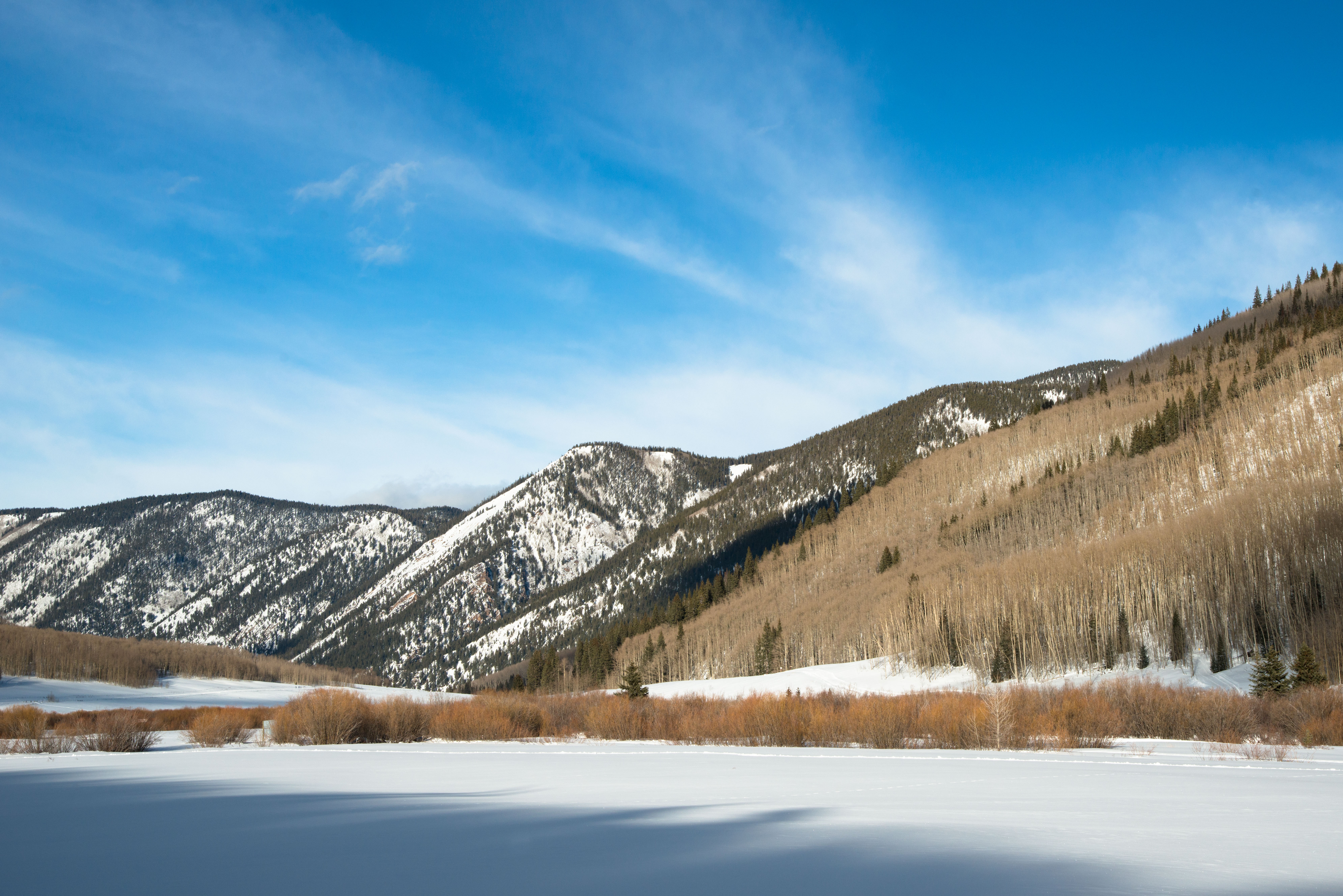 Hike or Snowshoe Castle Creek