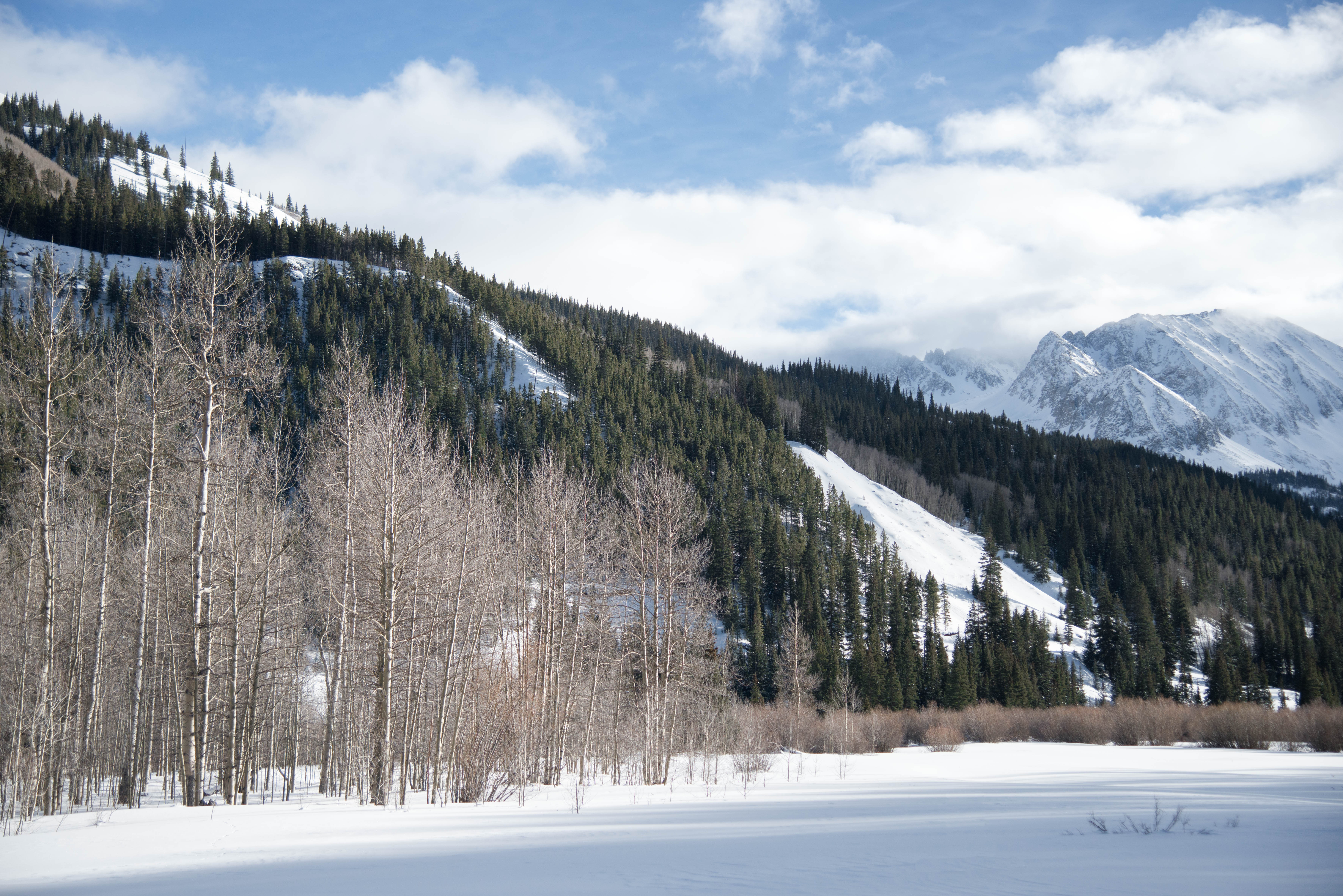 Hike or Snowshoe Castle Creek