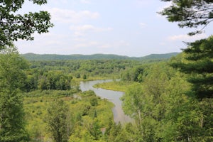 Backpack the Manistee River Trail