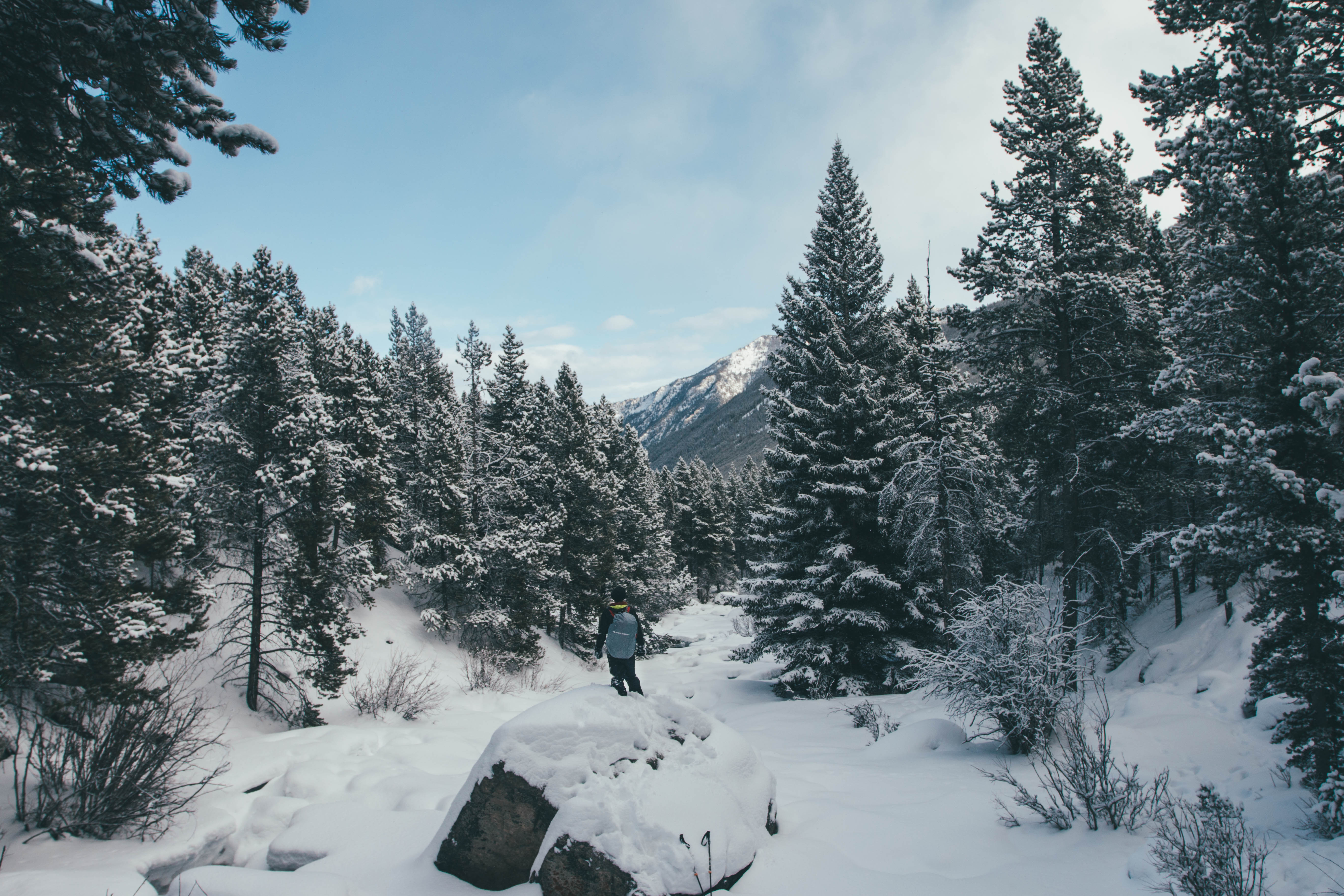 Snowshoeing to Silver Falls, Red Lodge, Montana