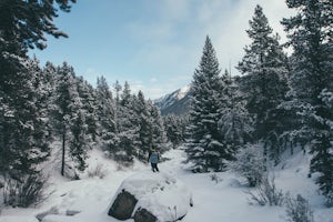 Snowshoeing to Silver Falls