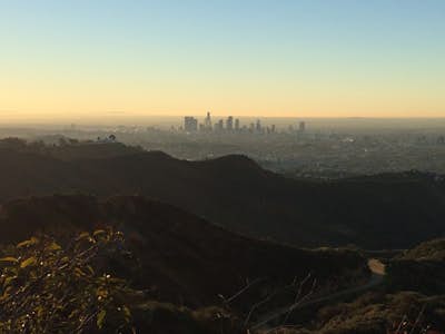 Hollyridge Trail to the Hollywood Sign [Closed]