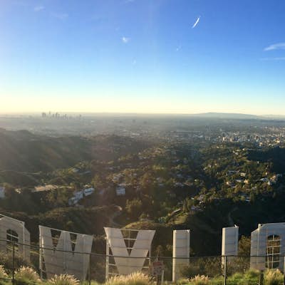 Hollyridge Trail to the Hollywood Sign
