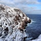 Hiking the Cape Spear Path