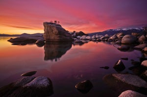 Photograph Bonsai Rock