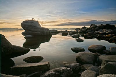 Photograph Bonsai Rock