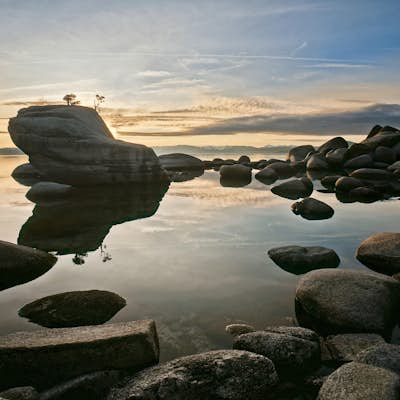Photograph Bonsai Rock