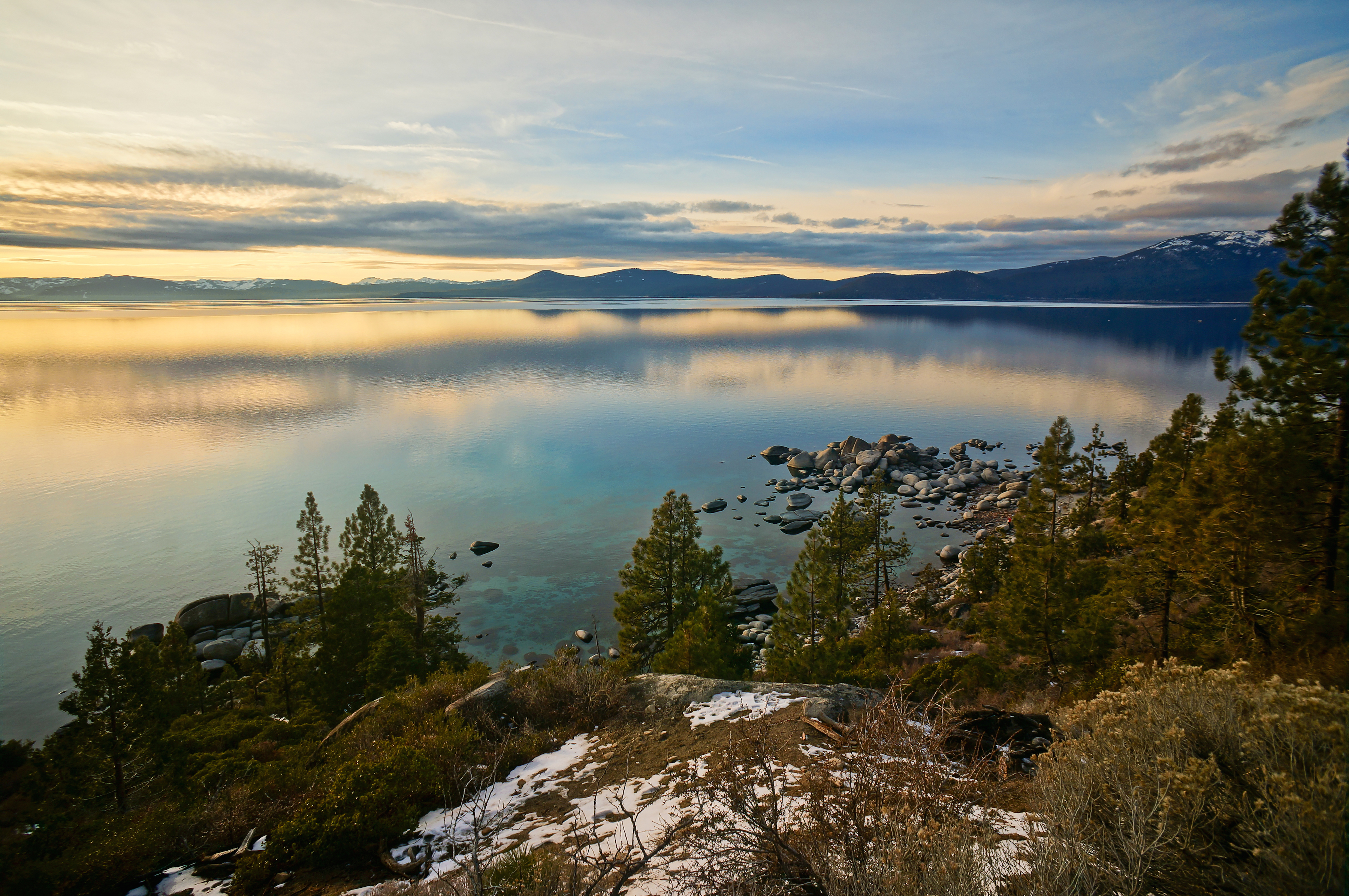 Photograph Bonsai Rock
