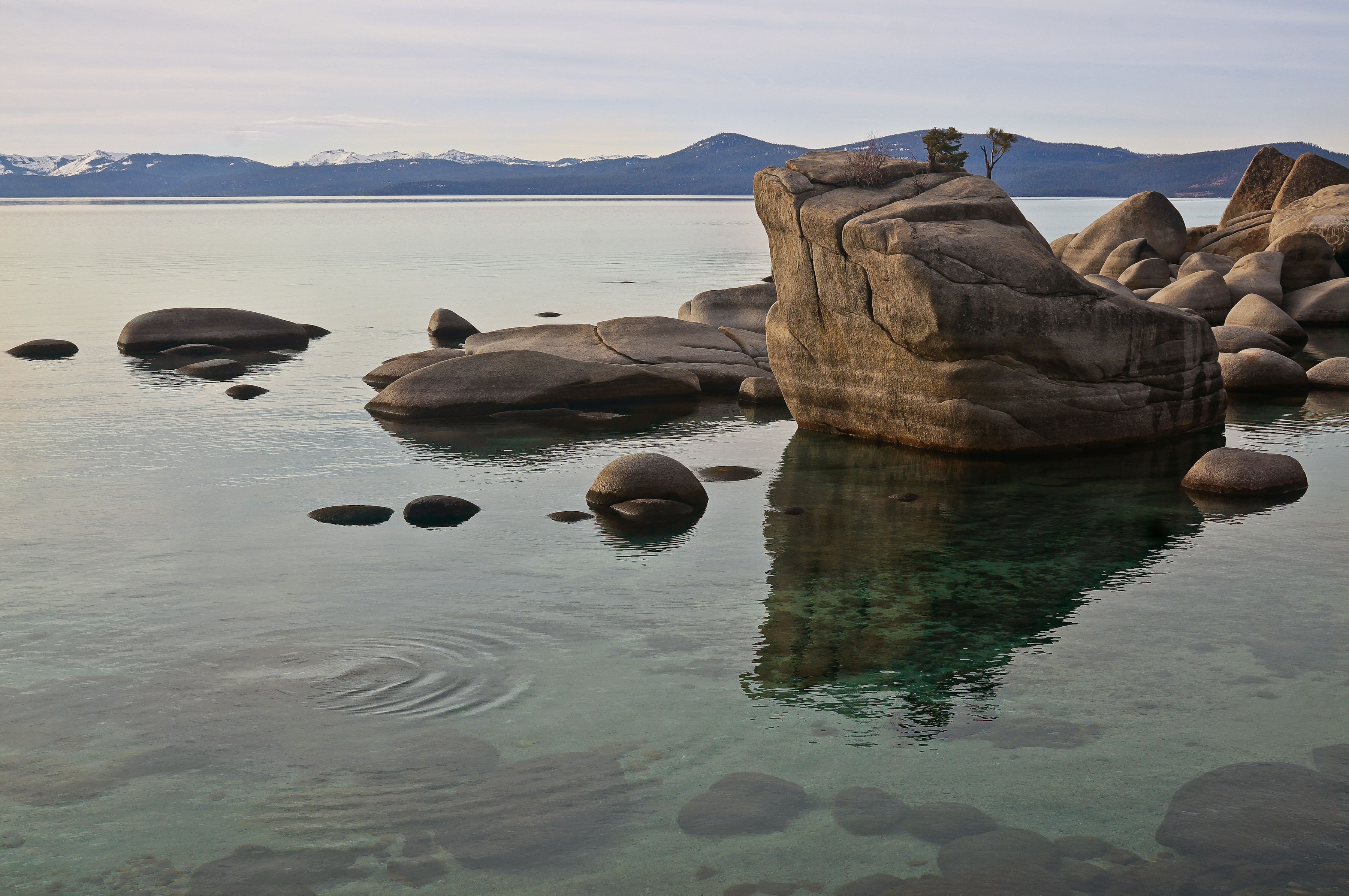 Photograph Bonsai Rock