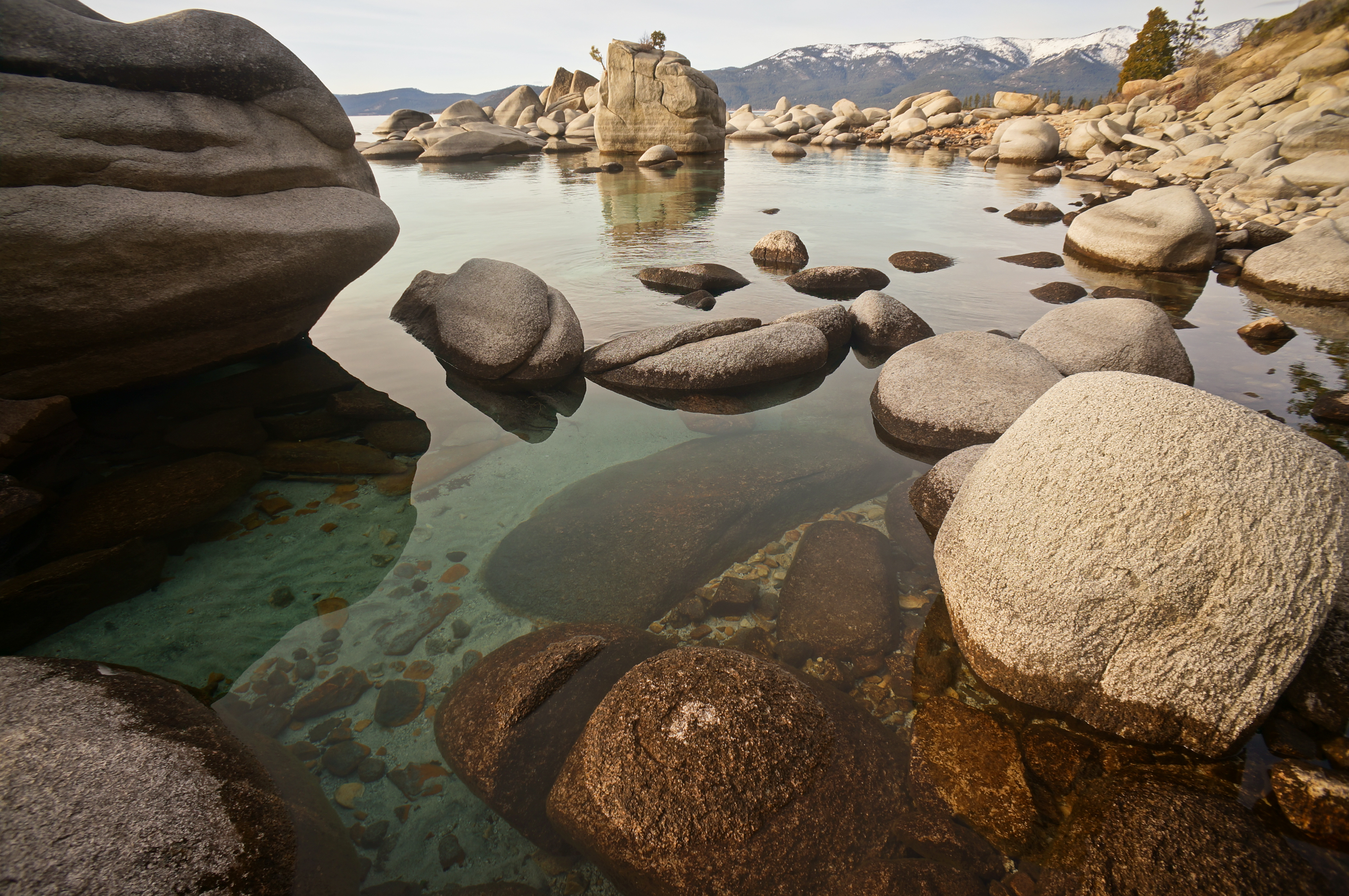 Photograph Bonsai Rock