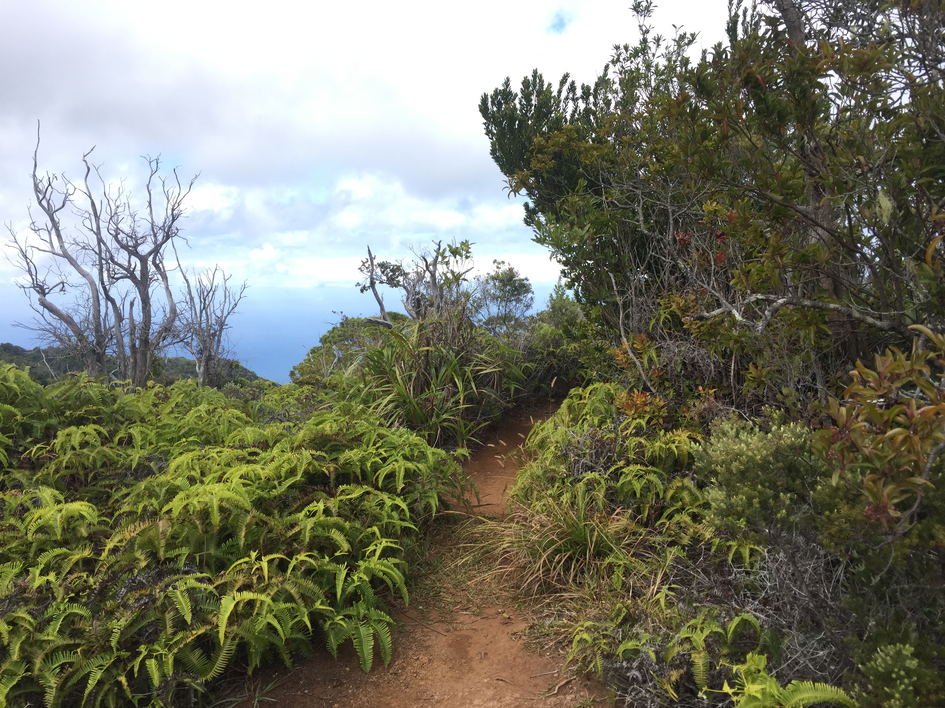 Hike Honopu Ridge 