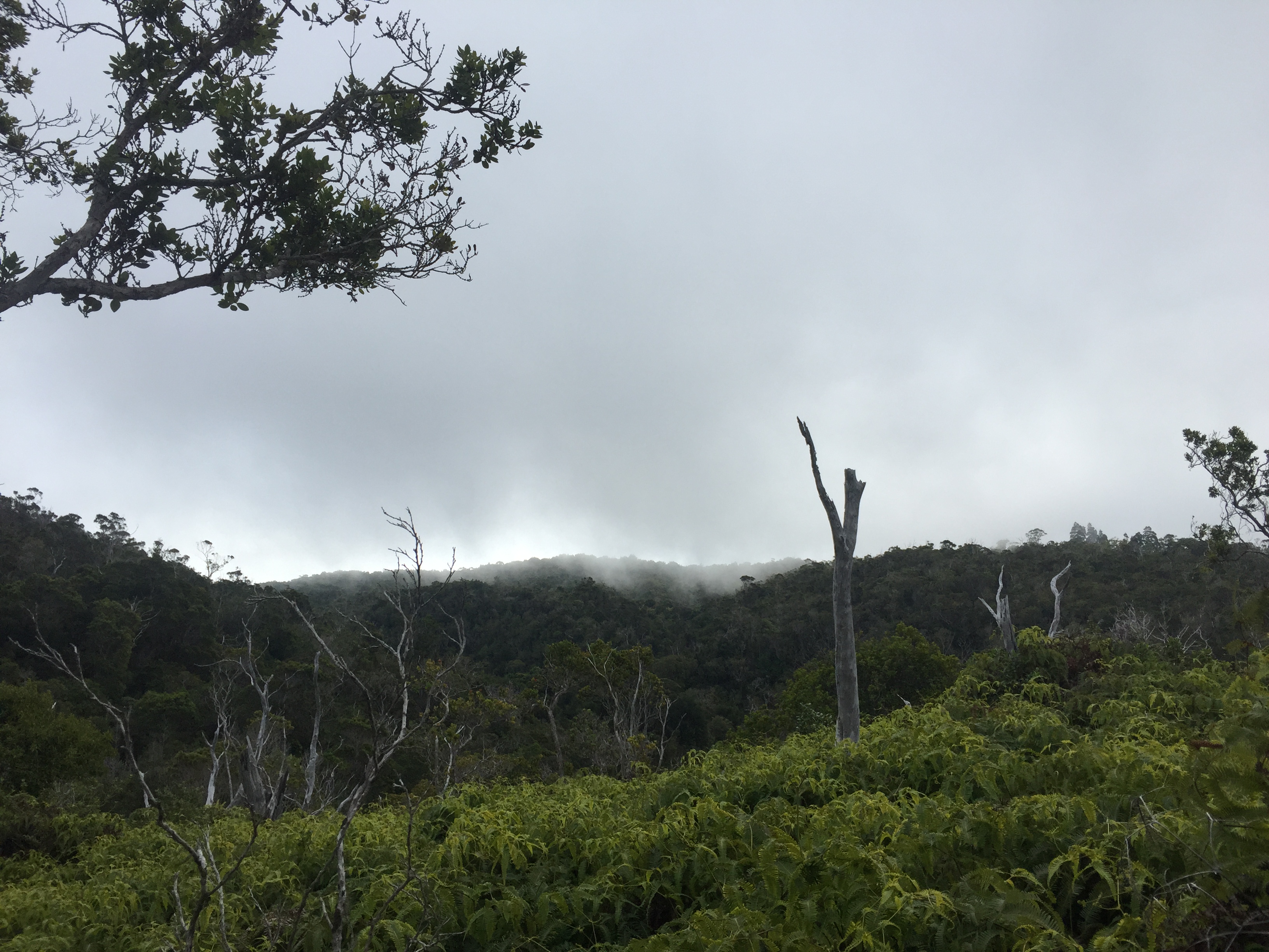 Hike Honopu Ridge 