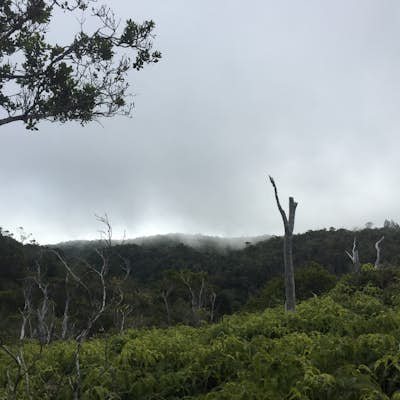 Hike Honopu Ridge 