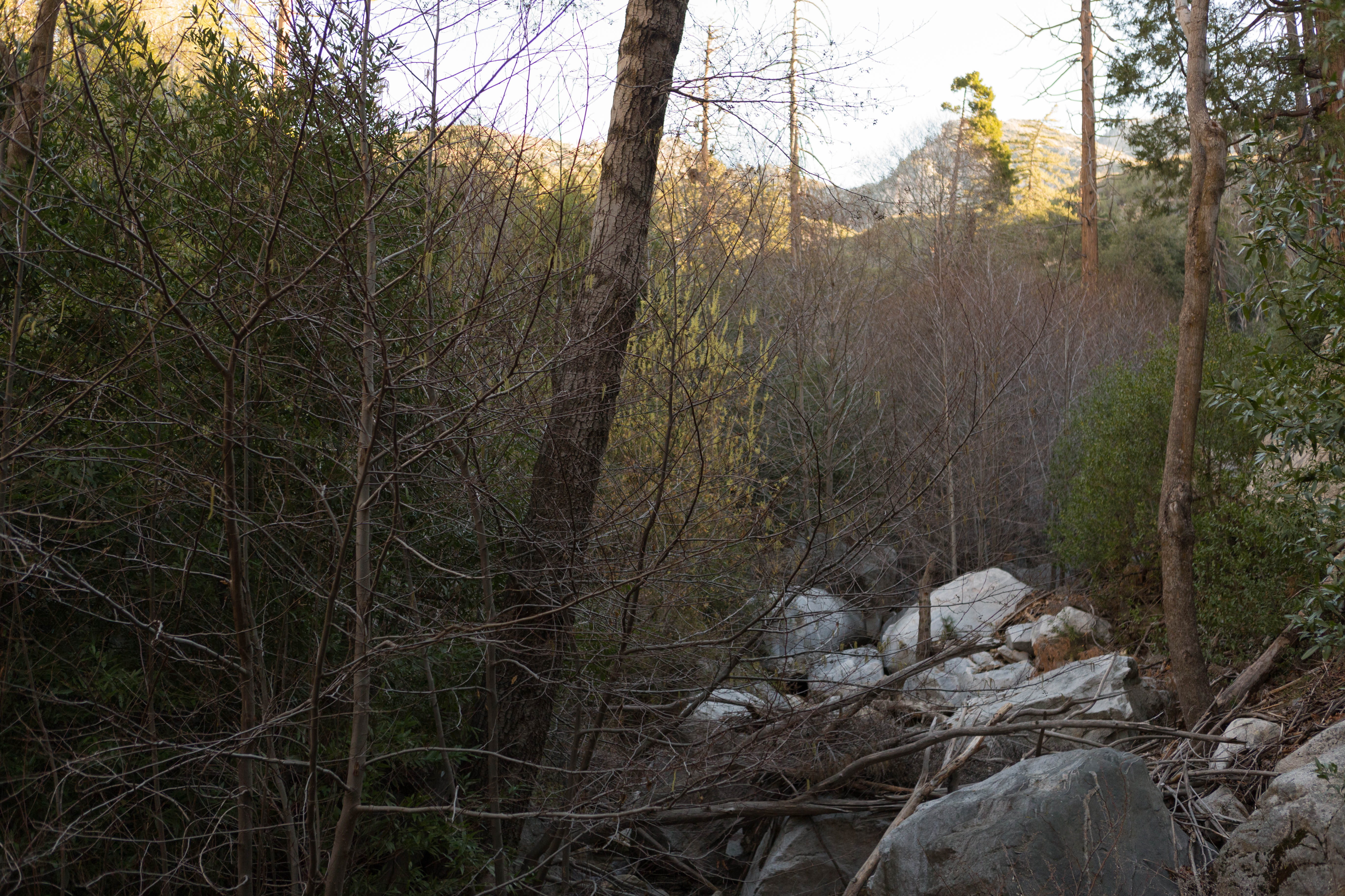 Lewis Falls 