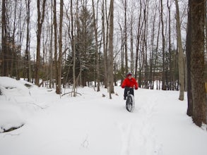 Fat Bike the TOBIE Pedestrian and Bike Pathway