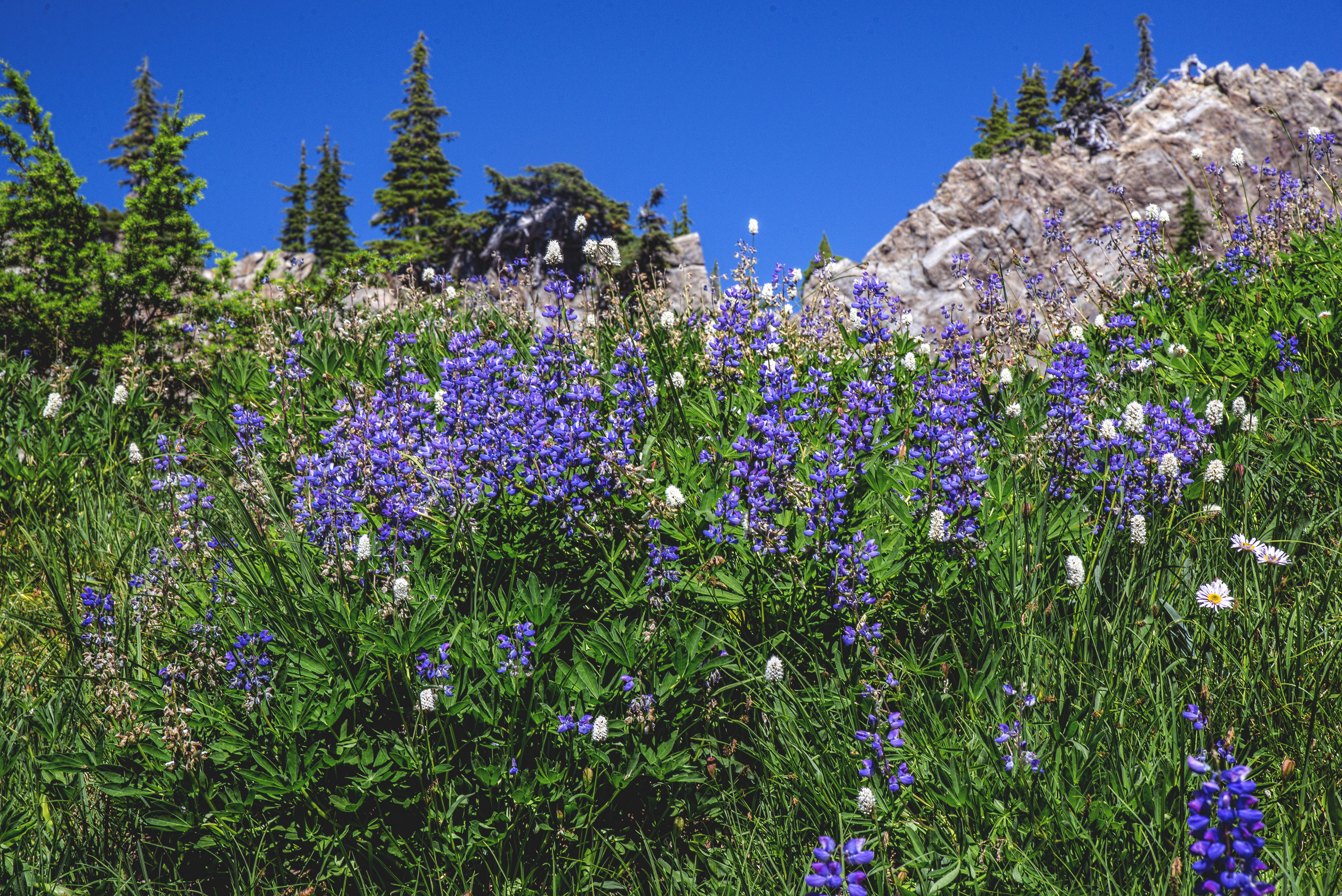 High Divide and 7 Lakes Basin