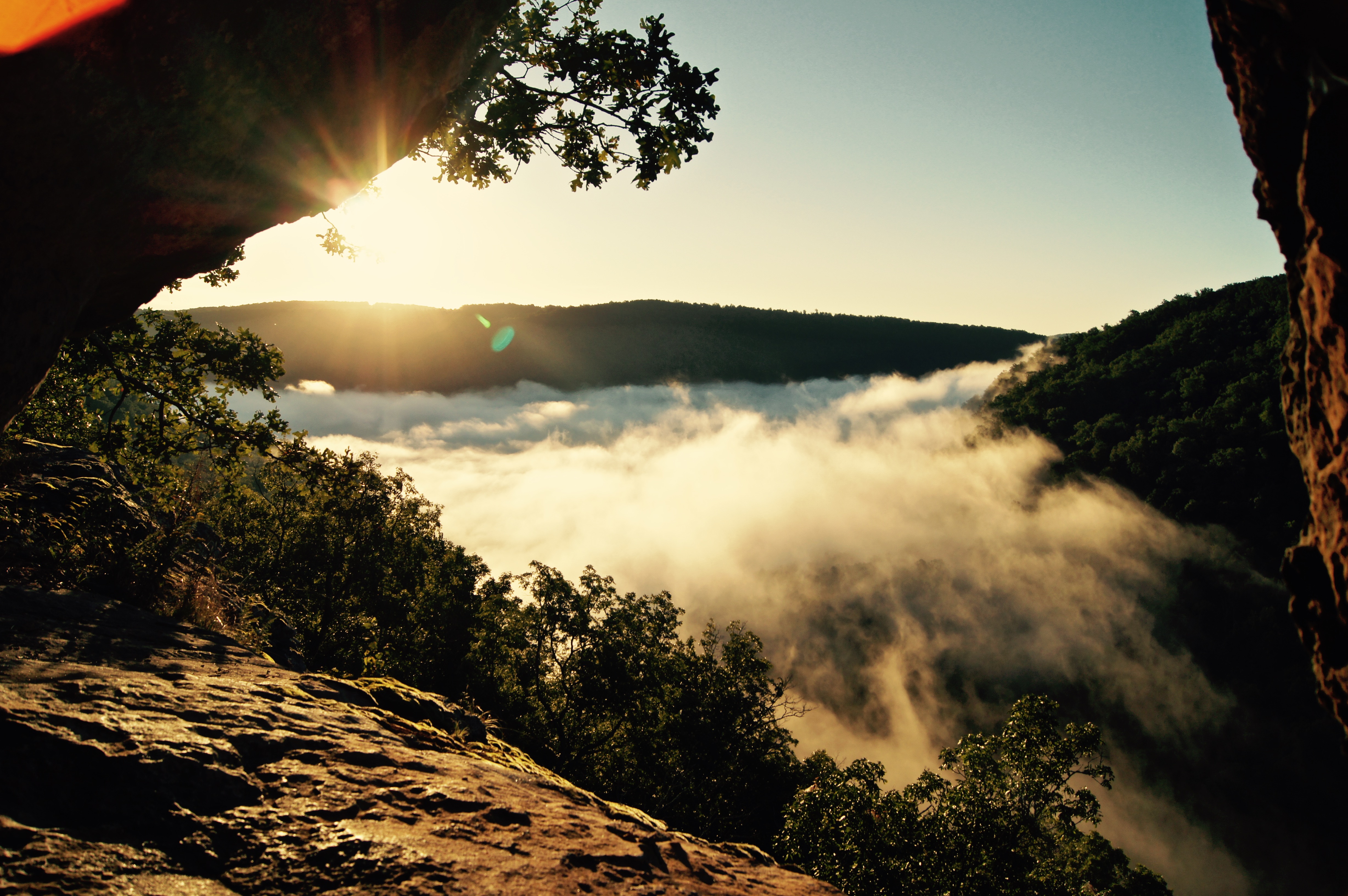 Hawksbill Crag via Whitaker Point Trail