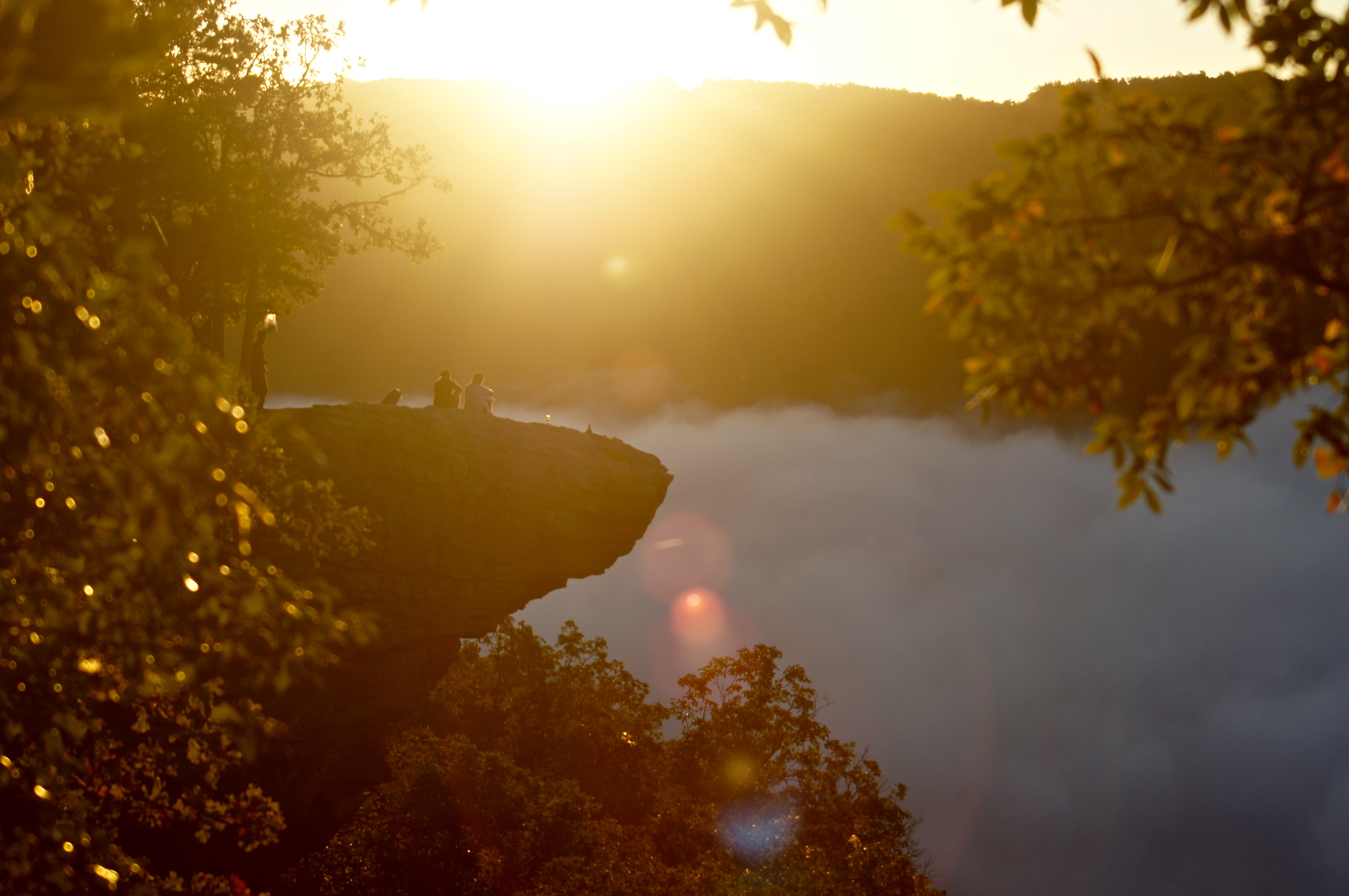 Hawksbill Crag via Whitaker Point Trail