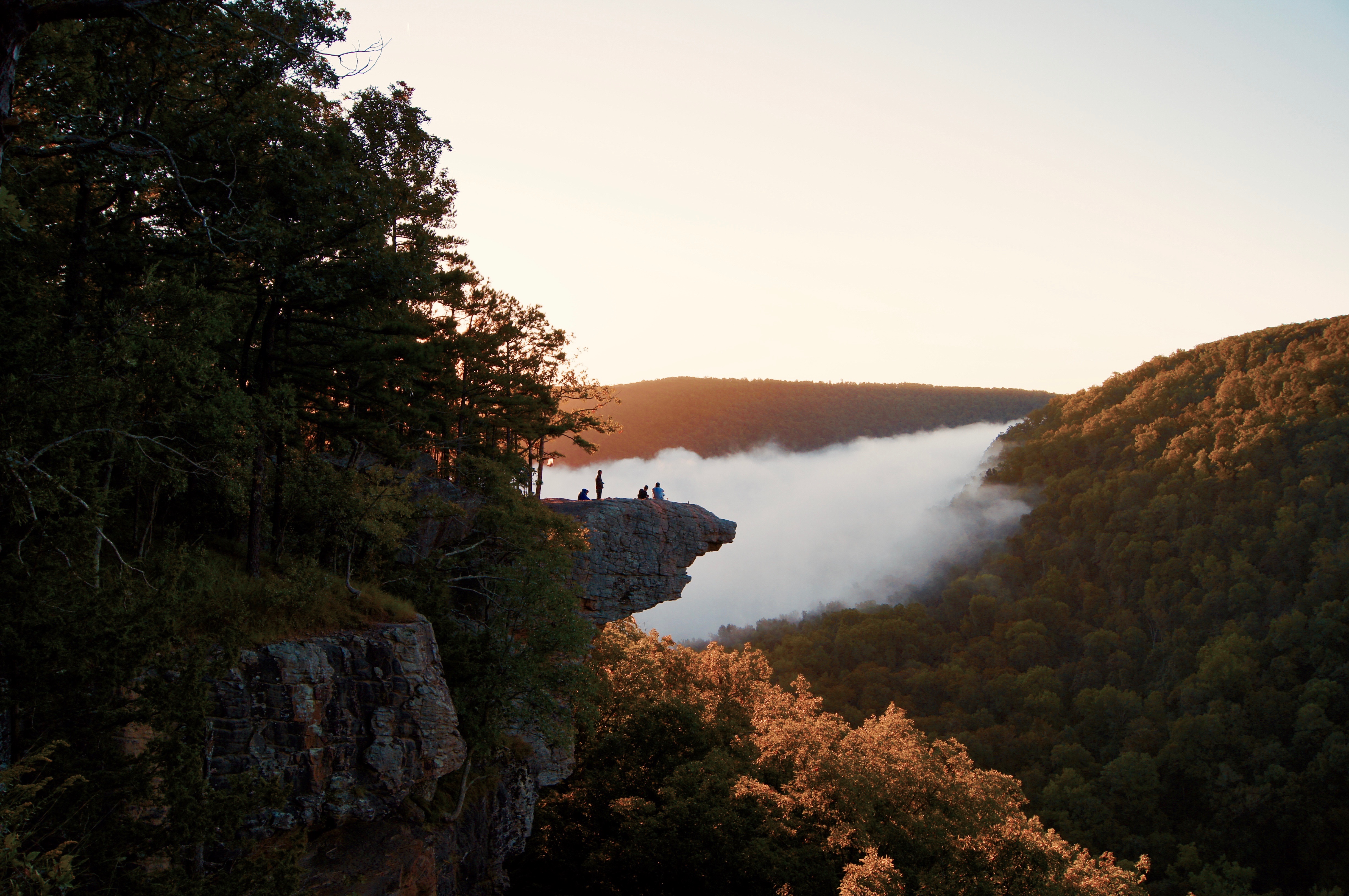 Hawksbill Crag via Whitaker Point Trail