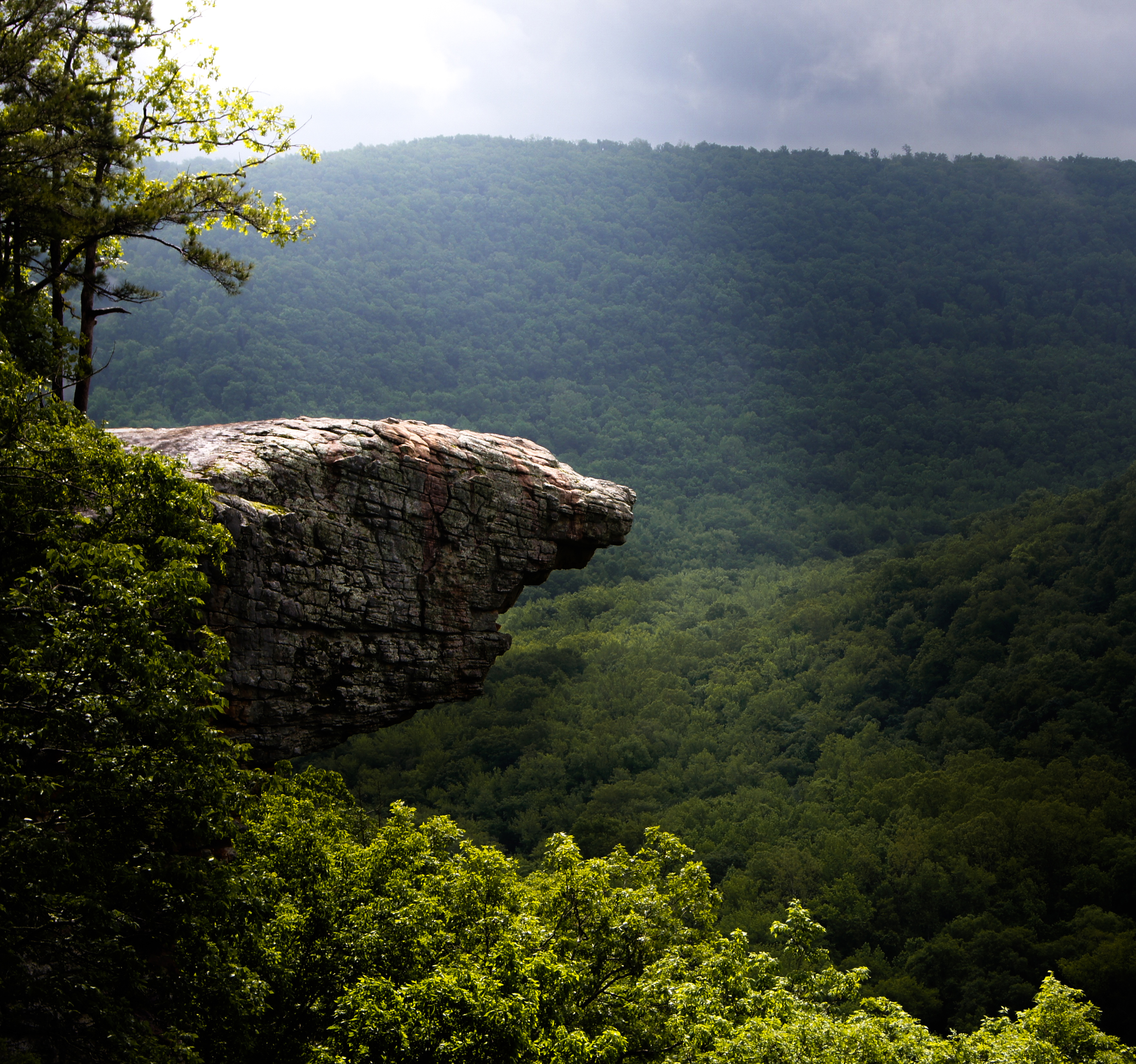 Hawksbill Crag via Whitaker Point Trail