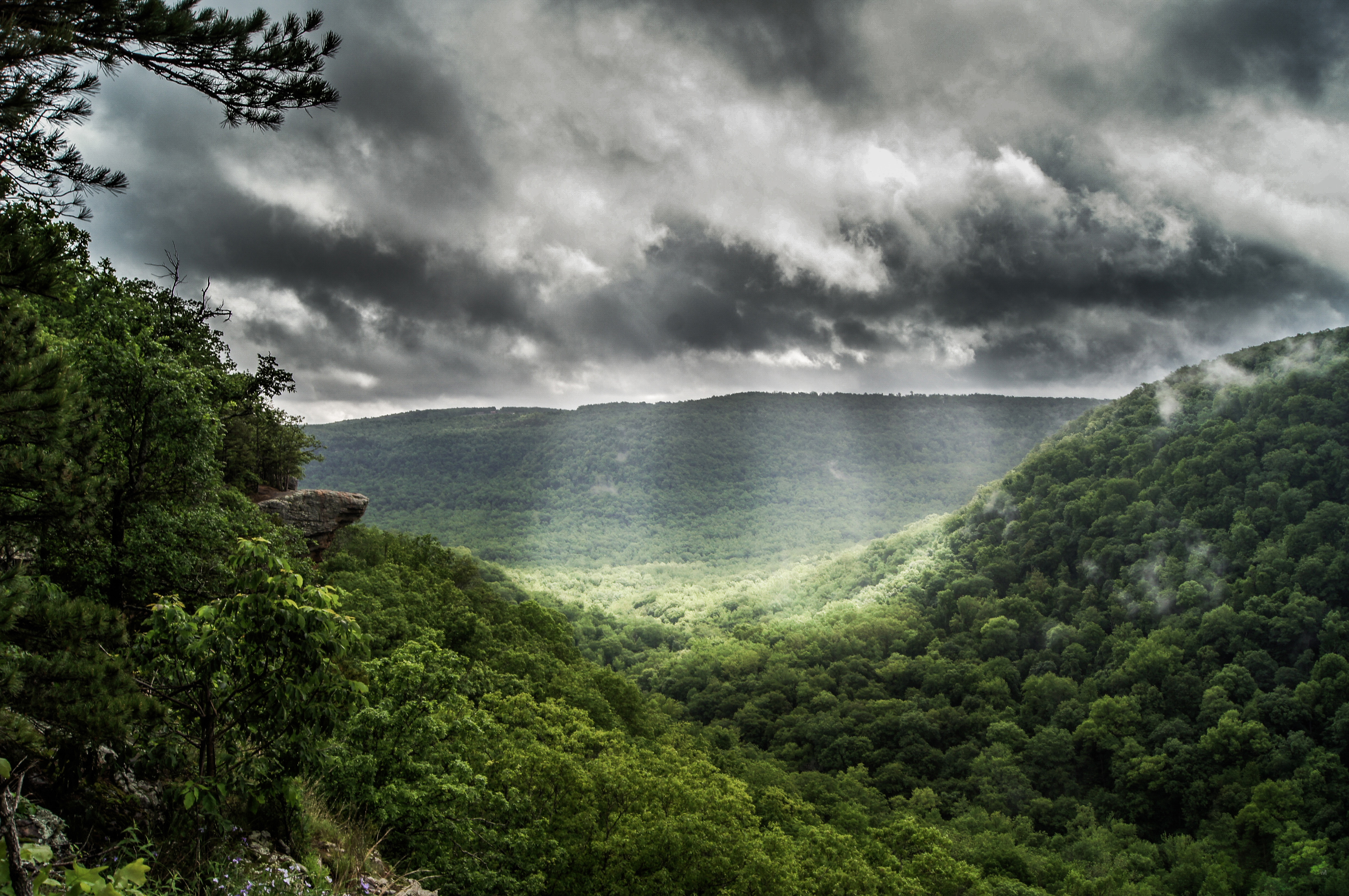 Hawksbill Crag via Whitaker Point Trail