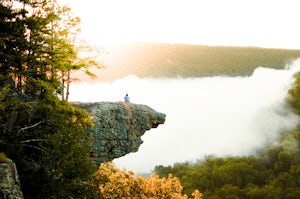 Hawksbill Crag via Whitaker Point Trail