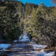 Run the Famous Manitou Incline