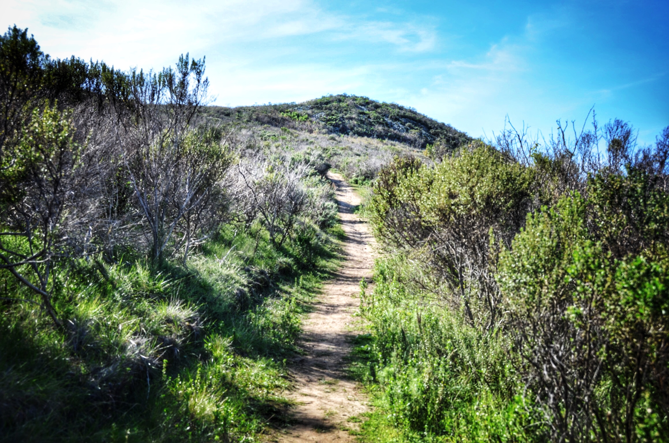 Quarry and Park Ridge Trail Loop