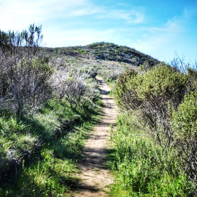 Hike the Park Ridge Trail and Quarry 