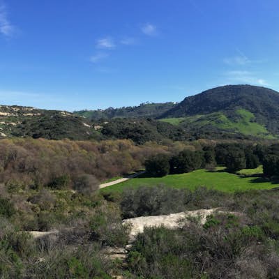 Trail run in Aliso and Wood Canyons