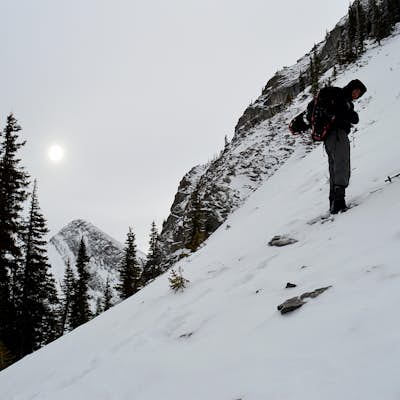 Snowshoe to Midnight Peak