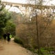 Running the Arroyo Seco Trail